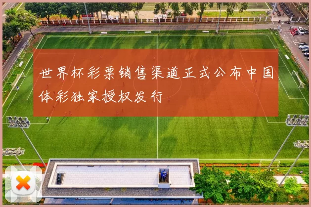 世界杯彩票销售渠道正式公布中国体彩独家授权发行