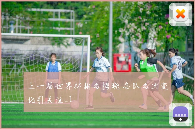 上一届世界杯排名揭晓 各队名次变化引关注_1