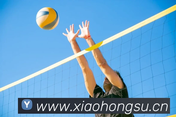 hth官方网页版 - hth(中国)发展历程